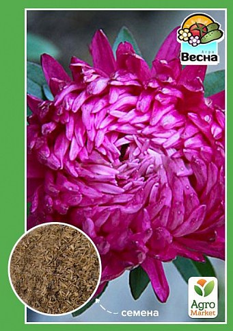 Астра "Верона" ТМ "Весна" 0.2г