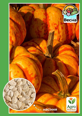 Тыква "Сладкий пирог" (Новый пакет) ТМ "Весна" 2г