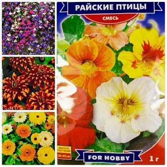 Комплект семян цветов "Запахло весной" 15уп