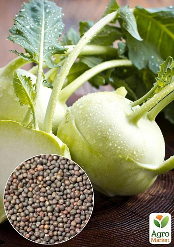 На развес Капуста "Кольраби белая" ТМ "Весна" цена за 2г