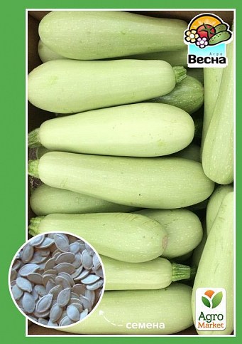 Кабачок "Акробат" ТМ "Весна" 2г