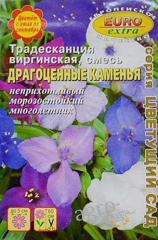 Традесканция "Драгоценные каменья" ТМ "АЭЛИТА" 0.02г