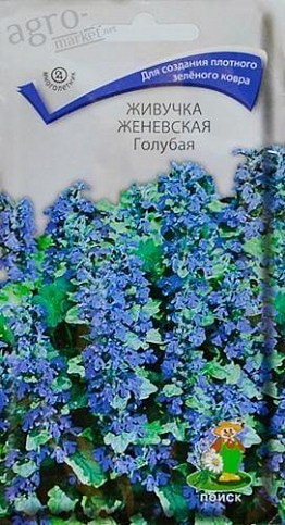 Живучка женевська "Блакитна" ТМ "Пошук" 0.02г