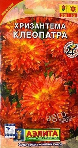 Хризантема "Клеопатра" ТМ "АЕЛІТА" 0.05г