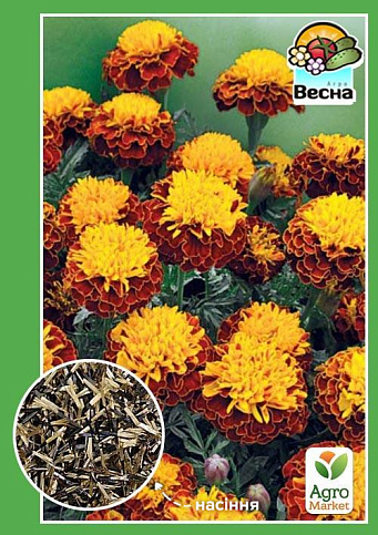 Чорнобривці "Ред Марієтта" ТМ "Весна" 0.3г