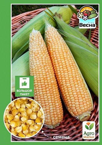 Кукурудза "Брусниця" (Великий пакет) ТМ "Весна" 15г