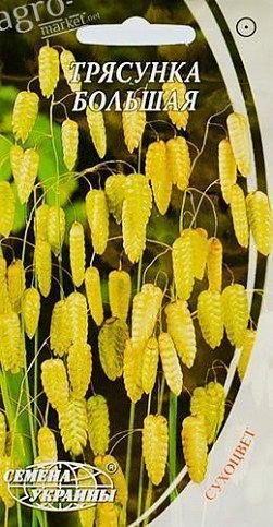 Трясунка большая ТМ "Семена Украины" 0,3г