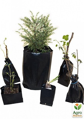 Пакет для рассады, саженцев 11*22см - фото 2