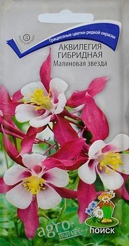 Аквілегія "Малинова зірка" ТМ "Пошук" 0.05г