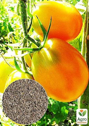 На развес Томат "Золотое руно" ТМ "Весна" цена за 1г