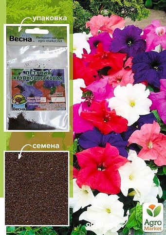 Петуния крупноцветковая смесь (Зипер) ТМ "Весна" 1г