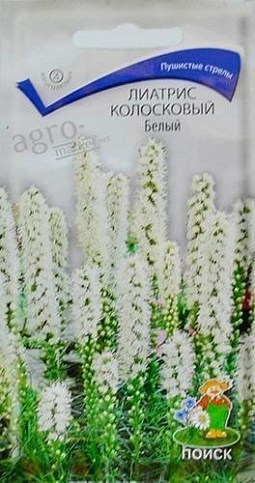 Лиатрис колосковый "Белый" ТМ "Поиск"