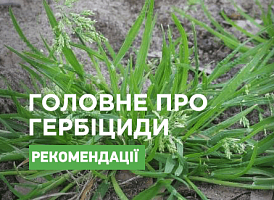 Гербіциди: класи небезпеки - корисні статті про садівництво від Agro-Market