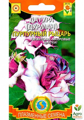 Датура махровая "Пурпурный  рыцарь" ТМ "Плазменные семена" 4шт NEW