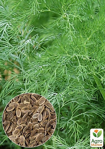 На развес Укроп "Шмарагд" ТМ "Весна" цена за 20г