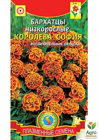 Чорнобривці низькорослі "Королева Софія" ТМ "Плазмові насіння" 45шт