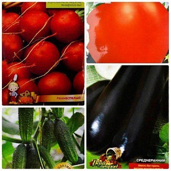 Комплект семян овощей "Фантастическая пятерка" 10уп