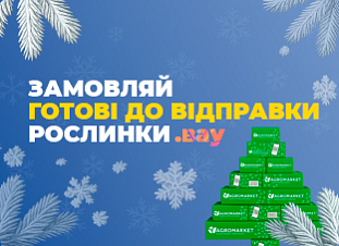 Рослини, готові до відправлення Рослини, готові до відправлення