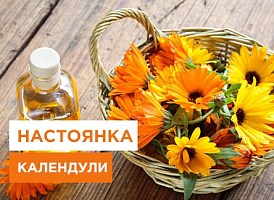 Настойка з календули: корисні властивості та рецепти приготування - корисні статті про садівництво від Agro-Market