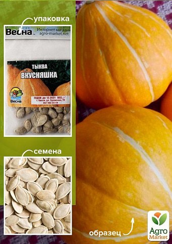 Тыква "Вкусняшка" (Зипер) ТМ "Весна" 5г