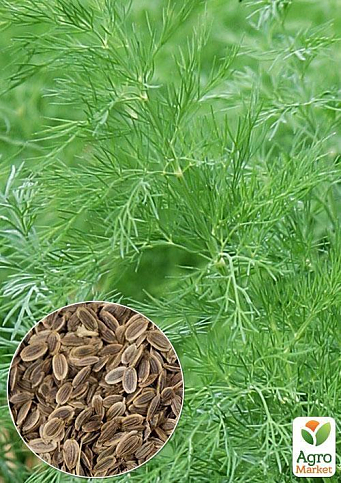 На развес Укроп "Дилл" ТМ "Весна" цена за 20г