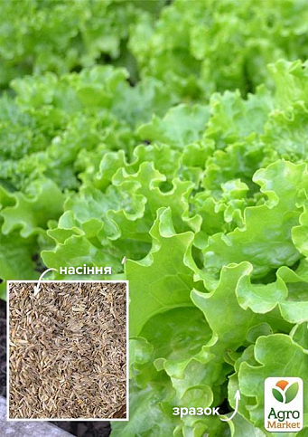 На развес Салат "Геркулес" ТМ "Весна" цена за 8г