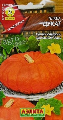 Гарбуз "Цукати" великоплідна ТМ "АЕЛІТА" 1г