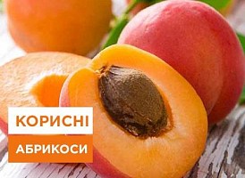 Абрикоси: користь та шкода  - корисні статті про садівництво від Agro-Market
