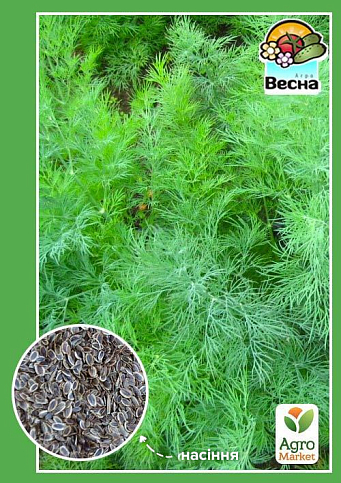 Кріп "Запашний пучок" (Новий пакет) ТМ "Весна" 2г