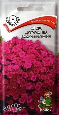 Флокс друммонда "Красотка в малиновом" ТМ "Поиск" 0.1г