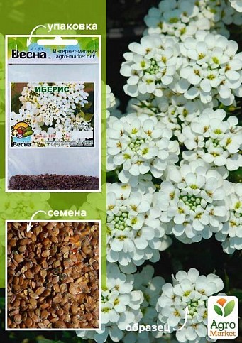 Иберис (Зипер) ТМ "Весна" 1г
