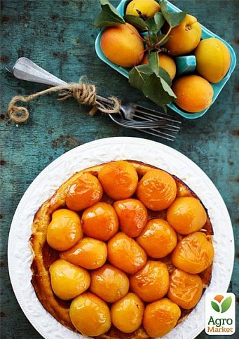 Ексклюзив! Абрикос золотисто-помаранчевий "Чудеса саду" (Wonders of the Garden) (преміальний ароматний сорт) - фото 5