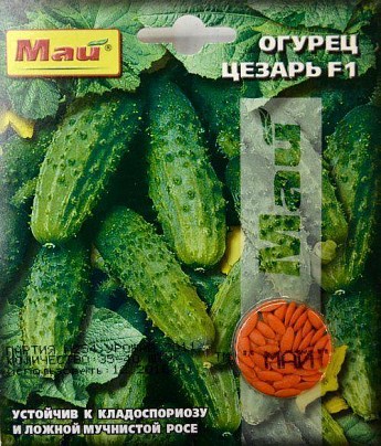 Огірок "Цезар F1" ТМ "Май" 35-40шт