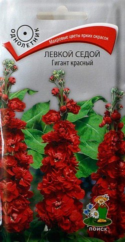 Левкой седой "Гигант красный" ТМ "Поиск" 0.1г
