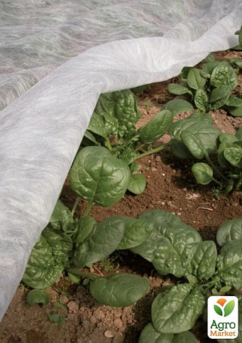 Біле Агроволокно покривне ТМ "Agreen" Ширина 3.2 м, Довжина 10м, Щільність 30 - фото 2