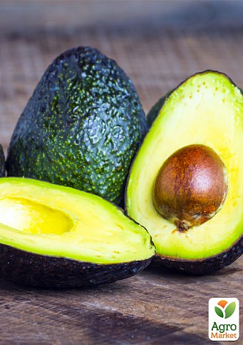 Авокадо (Персея Американська) - фото 3