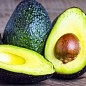 Авокадо (Персея Американська) цена
