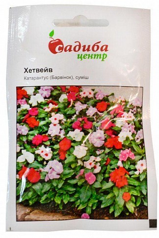 Катарантус "Хетвейв суміш" ТМ "Садиба центр" 20шт