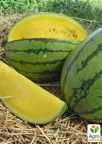 Арбуз "Еллоу Лав F1" ТМ "Clause" 1000шт