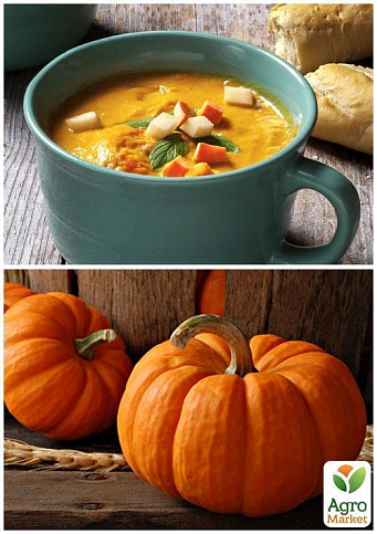 На развес Тыква "Золотой центнер" ТМ "Весна" цена за 10г - фото 3