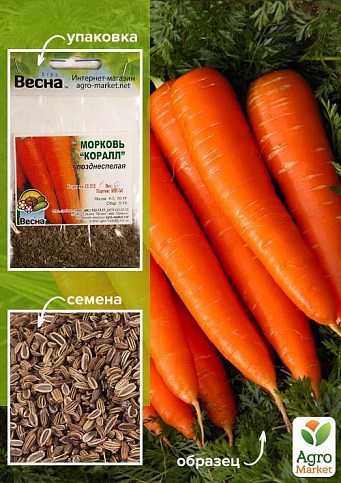 Морква "Корал" (Зипер) ТМ "Весна" 5г