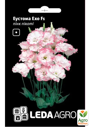 Эустома "Эхо F1", пинк пикоти ТМ "Leda Agro" 5шт