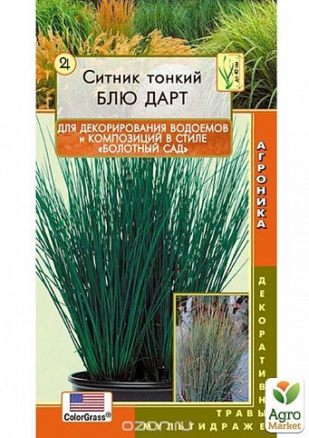 Ситник тонкий "Блю Дарт" ТМ "Плазменные семена" 3шт