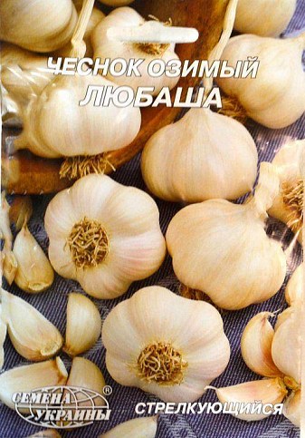 Чеснок озимый "Любаша" ТМ "Семена Украины" 10г