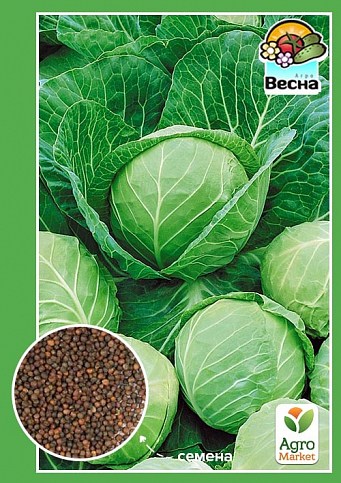 Капуста "Дита" ТМ "Весна" 0,5 г