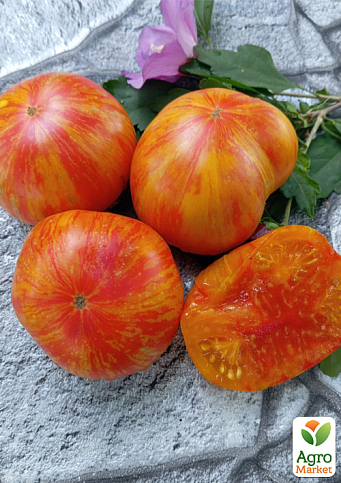 Томат гном "Конфеті" ТМ "Vesna Select" 0.1г