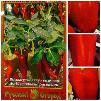 Комплект насіння перцю "Перцева грядка" 5уп
