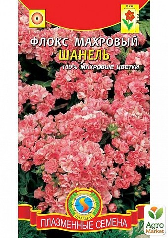 Флокс махровый "Шанель100% махровый" ТМ "Плазменные семена" 9шт