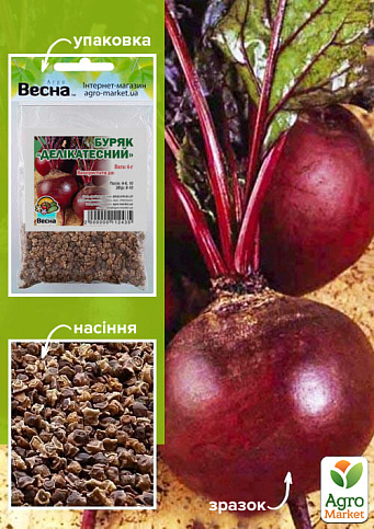 Свекла "Деликатесная" (Зипер) ТМ "Весна" 6г