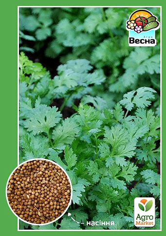 Коріандр "Кінза" ТМ "Весна" 3г